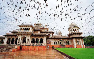 local food tour jaipur